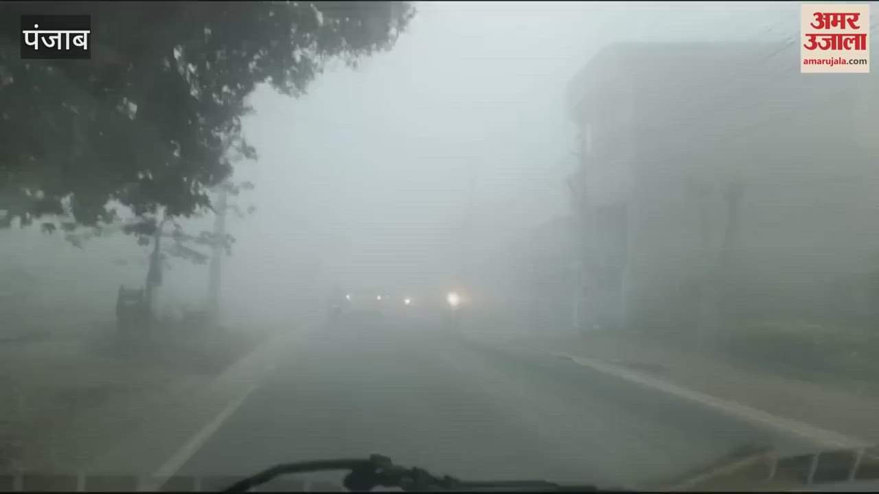 VIDEO : Fog in Hoshiarpur