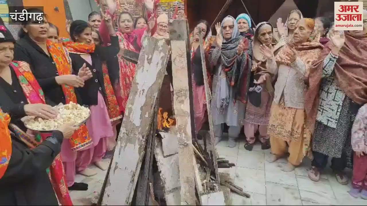 VIDEO : Grandmother and granddaughter's Lohri in Chandigarh