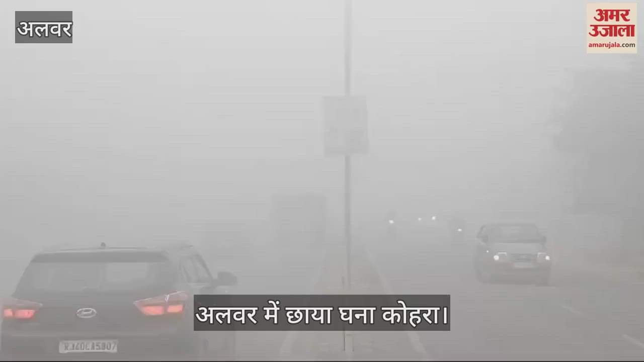 Alwar News: The densest fog of the season in Alwar, visibility only five meters, IMD warned to be cautious
