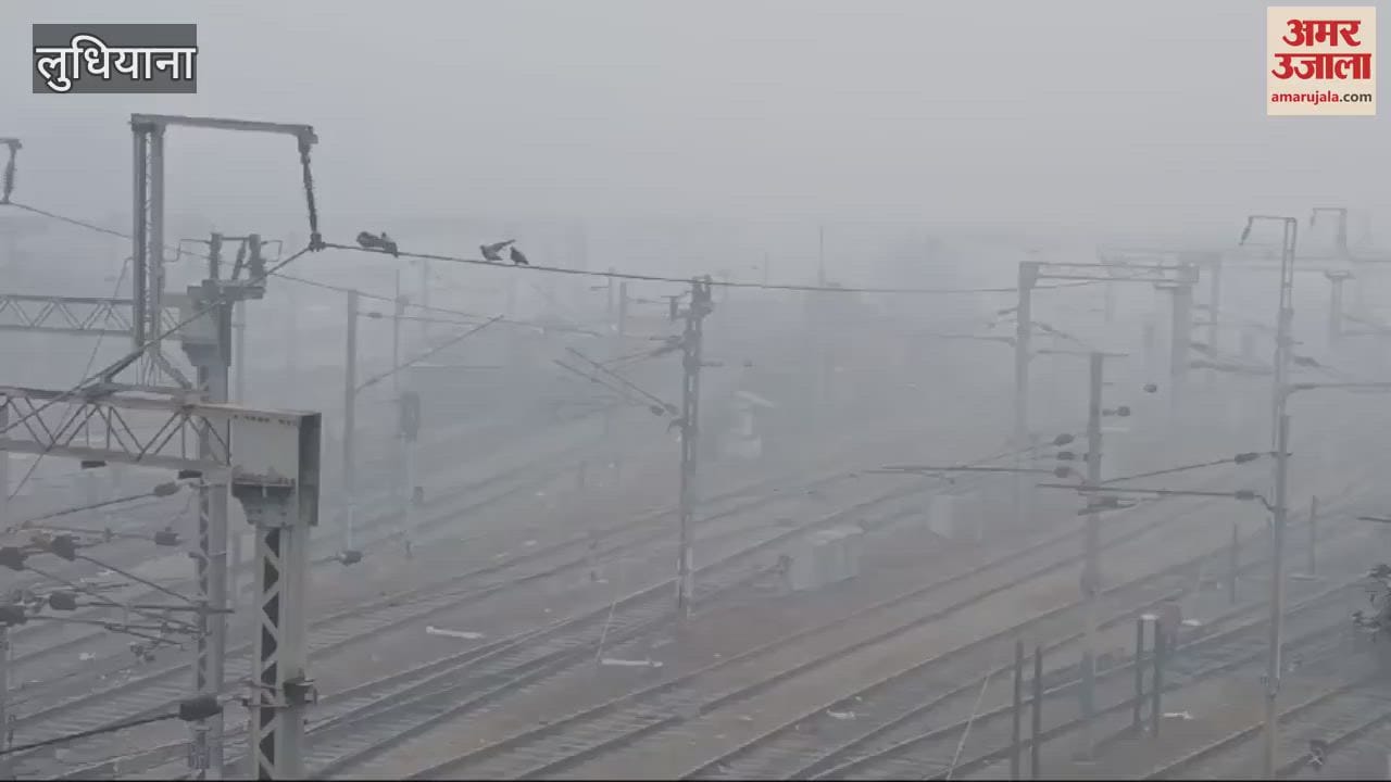VIDEO : Fog in Ludhiana