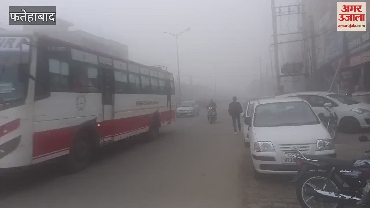 VIDEO : After getting relief for two days, fog again covered Fatehabad