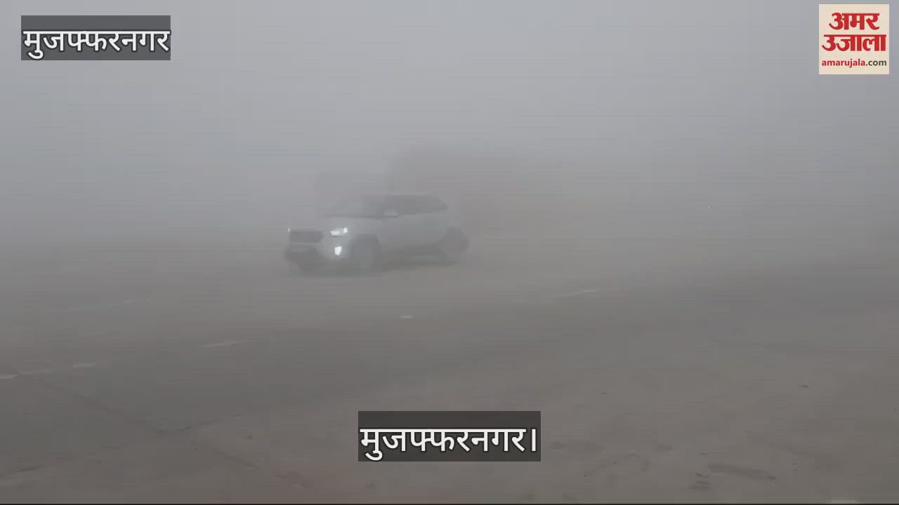 VIDEO : Heavy fog in Muzaffarnagar slowed down the speed of vehicles