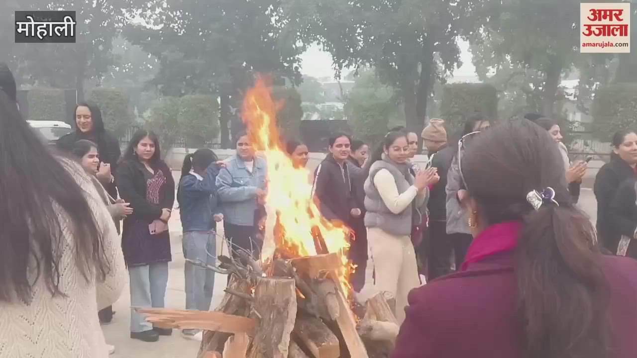 VIDEO : Celebration of Lohri at NIFT Mohali