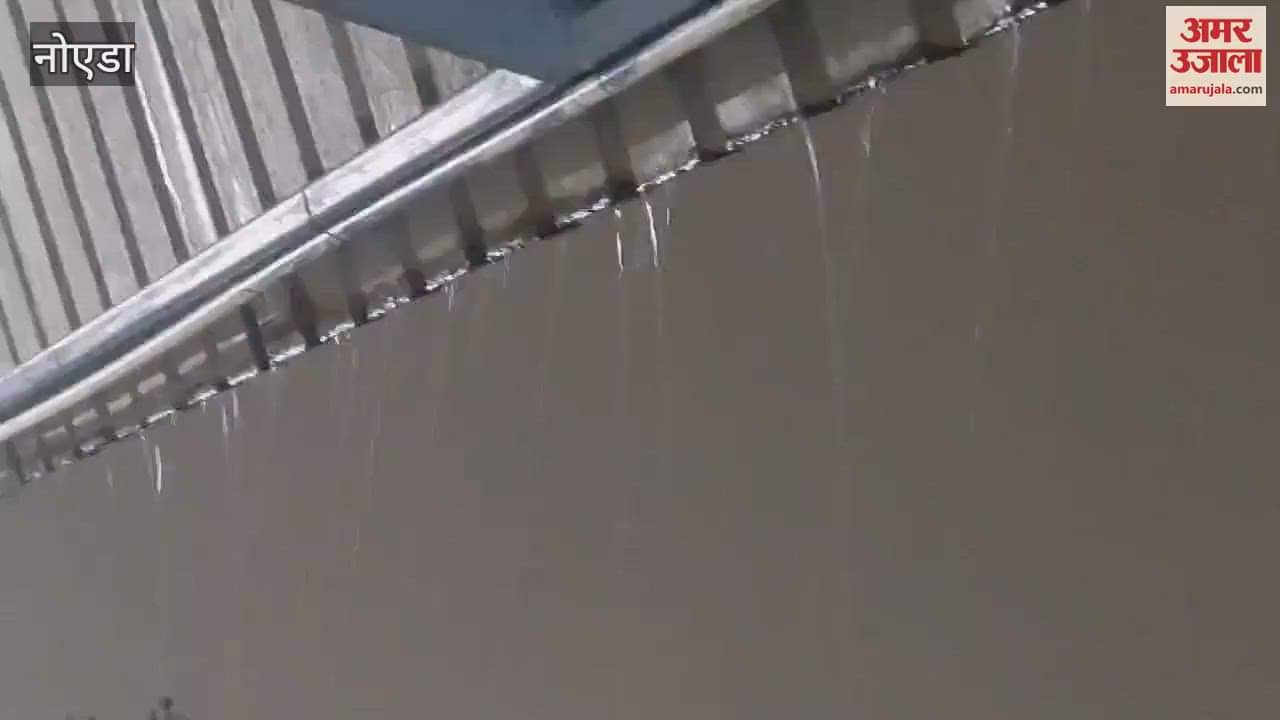 VIDEO : Rain increased the severity of winter