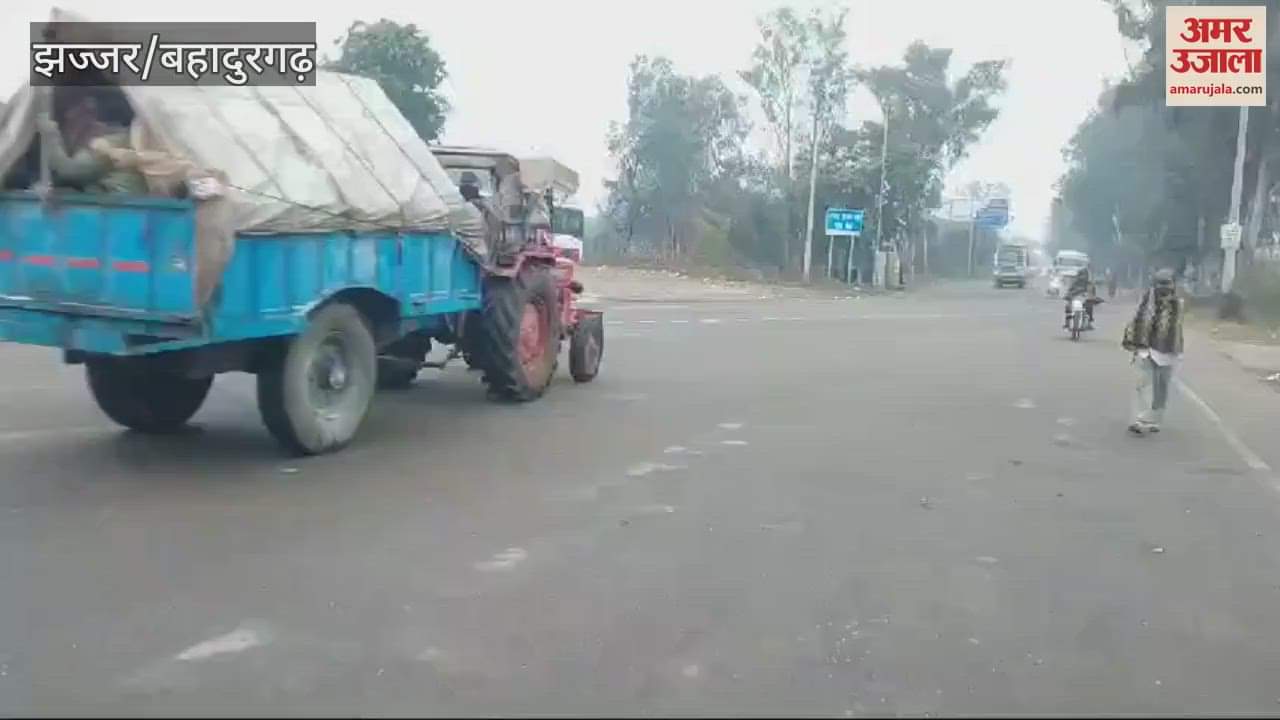 VIDEO : Relief from fog in Jhajjar and surrounding areas for second consecutive day