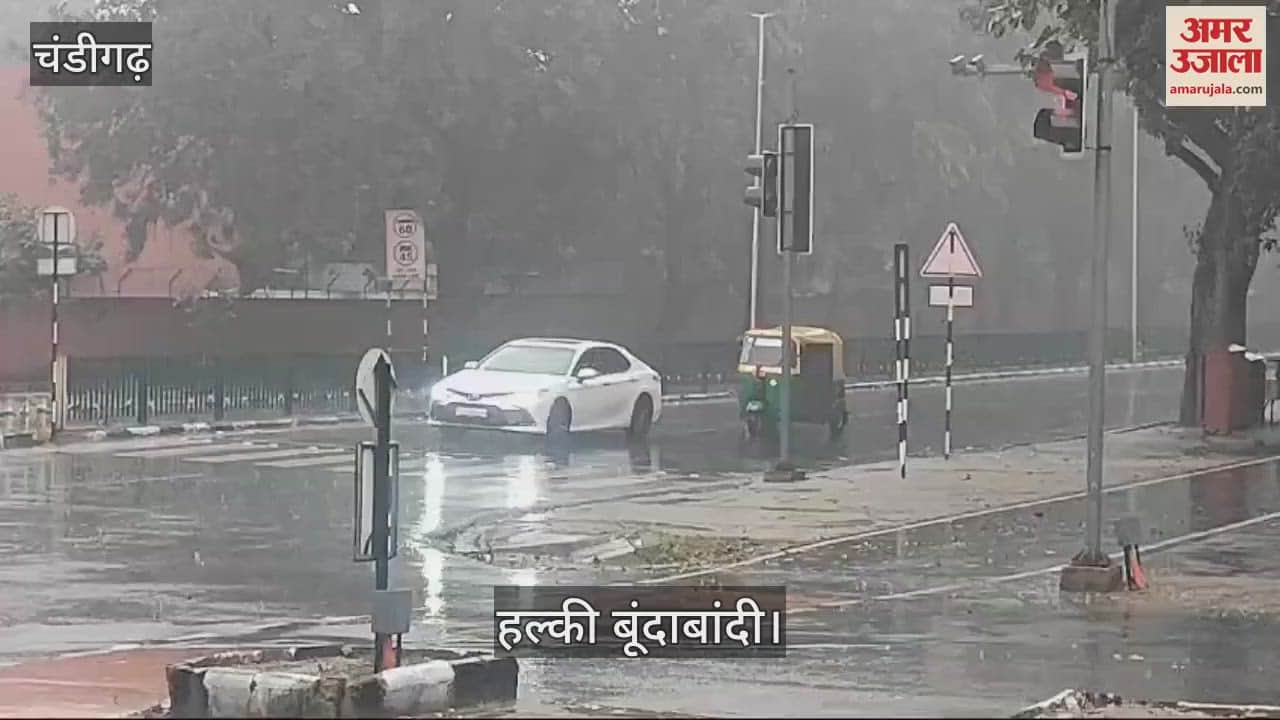 VIDEO : Drizzle in Chandigarh increased the coolness in the weather