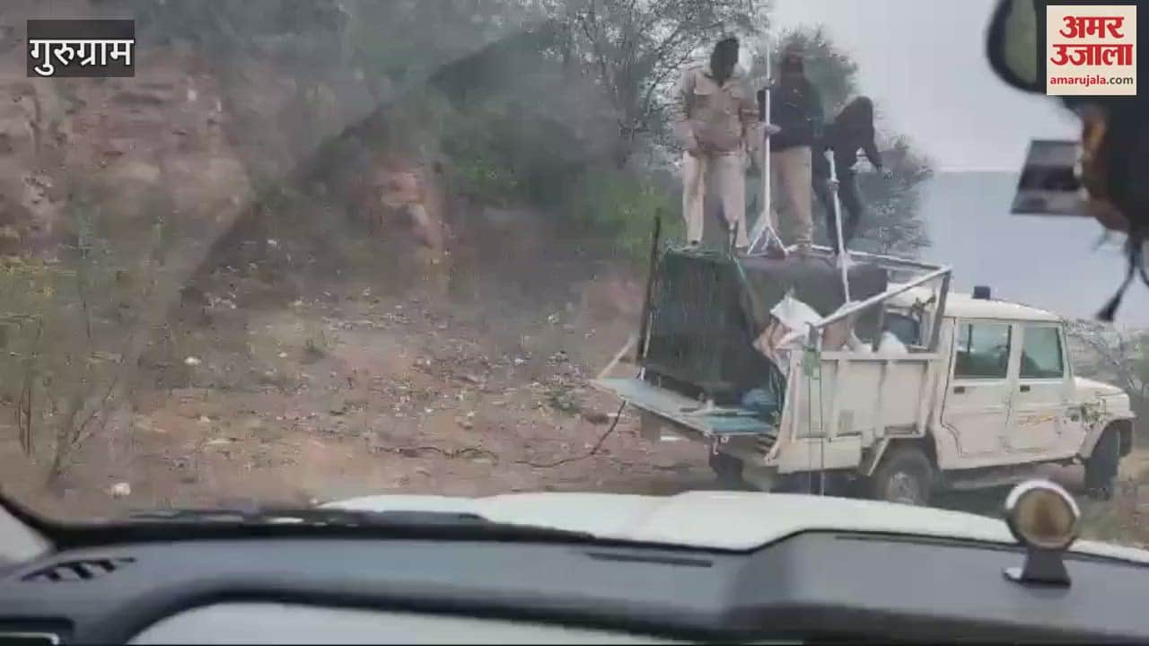 VIDEO : Leopard entered Gurugram's Ashiana Society