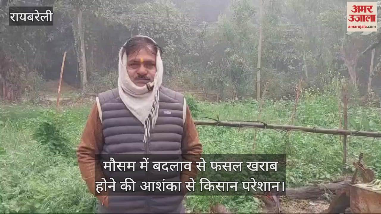 VIDEO : रायबरेली में मौसम में बदलाव से फसल खराब होने की आशंका से किसान परेशान
