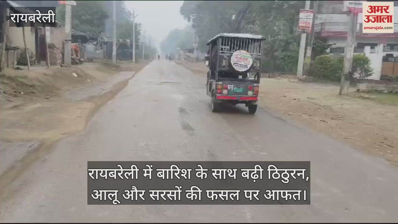 VIDEO : रायबरेली में बारिश के साथ बढ़ी ठिठुरन, आलू और सरसों की फसल पर आफत