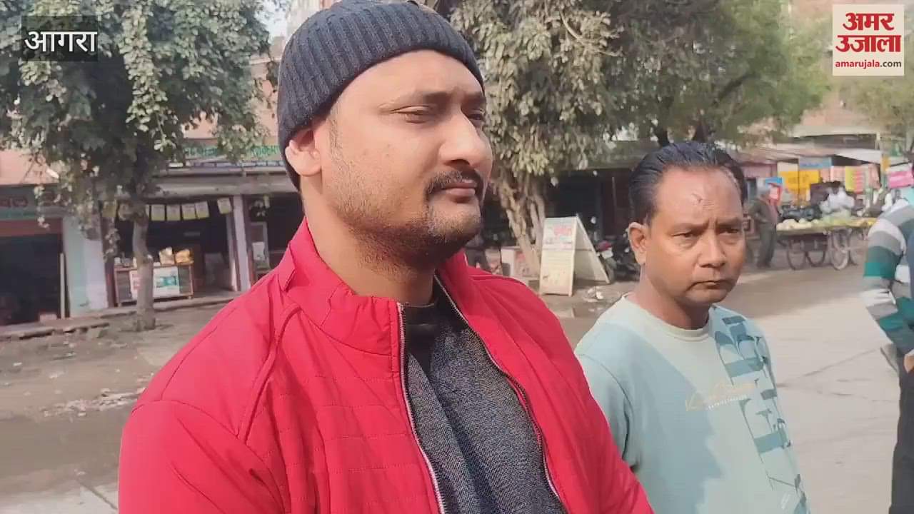 VIDEO : Cow dies a painful death due to electric shock from an electric pole