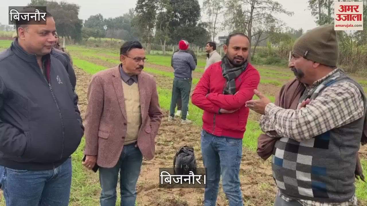 VIDEO : In Bijnor's Swahedi, a farmer cultivated four bighas of crop, ADO inspected and gave assurance