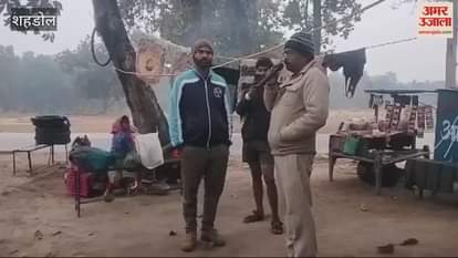 The tiger has not gone, now the elephant has entered, people are in panic