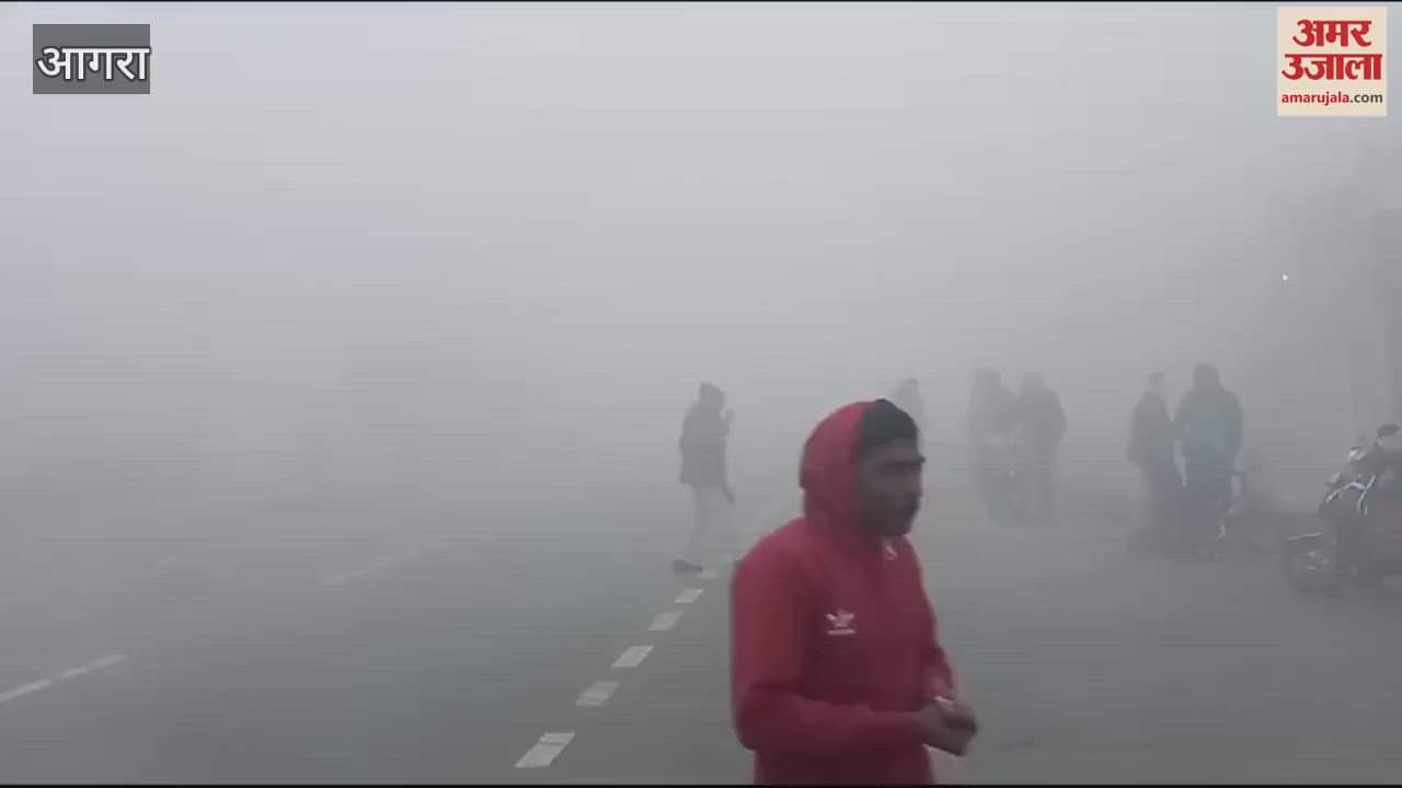 VIDEO : Heavy fog in Agra slowed down the speed of vehicles