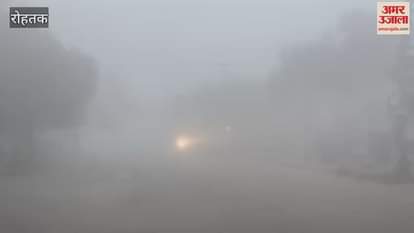 VIDEO : Fog increased the chill in Rohtak, the sun did not come out