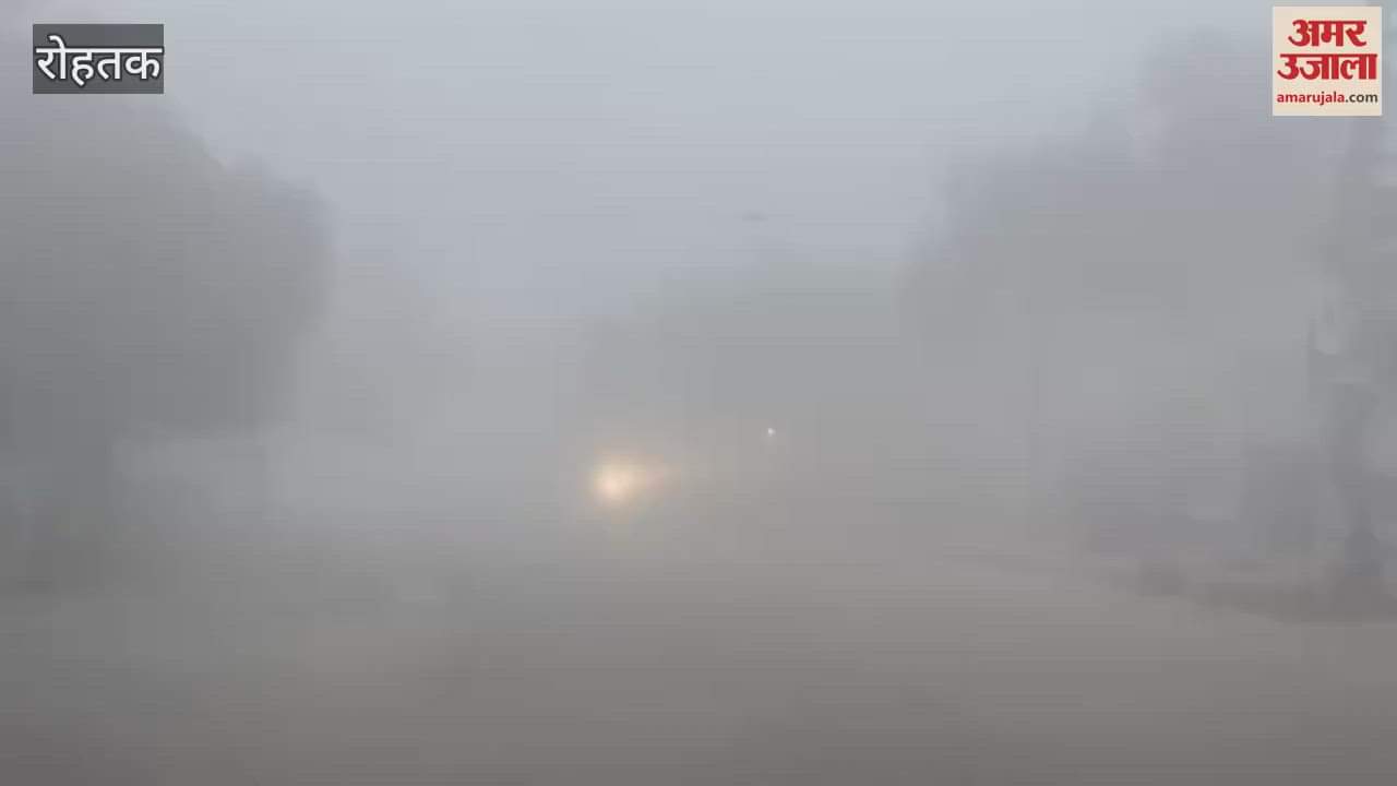 VIDEO : Fog increased the chill in Rohtak, the sun did not come out