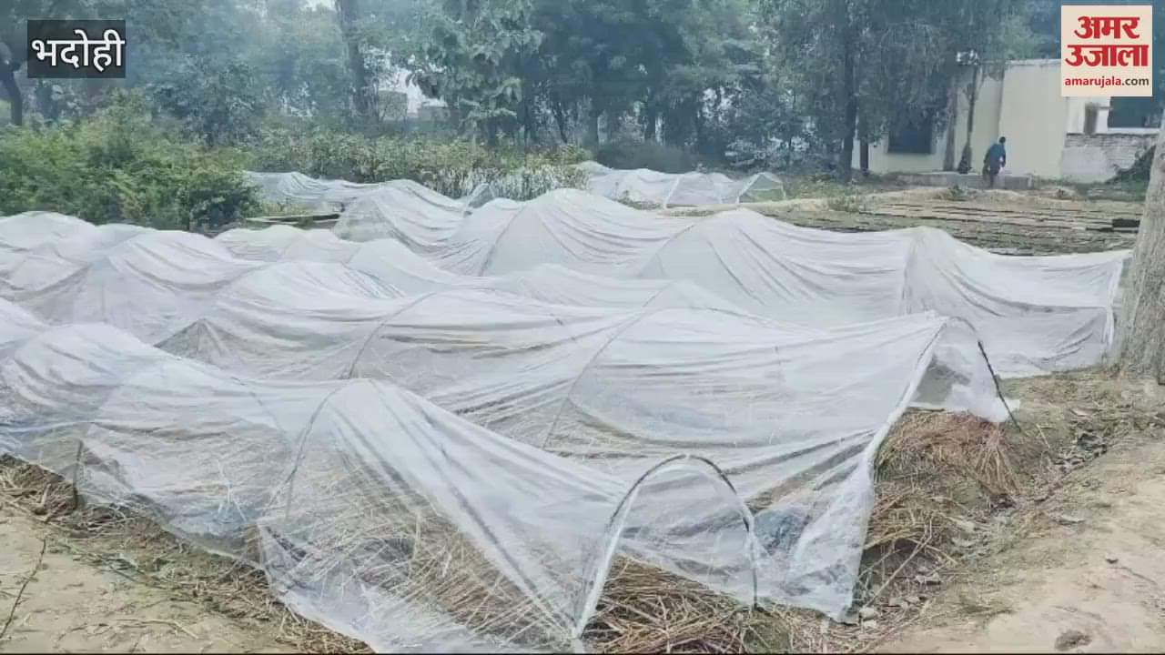 VIDEO : Shade house protect plants winter arrangement first time Jorai nursery of forest department