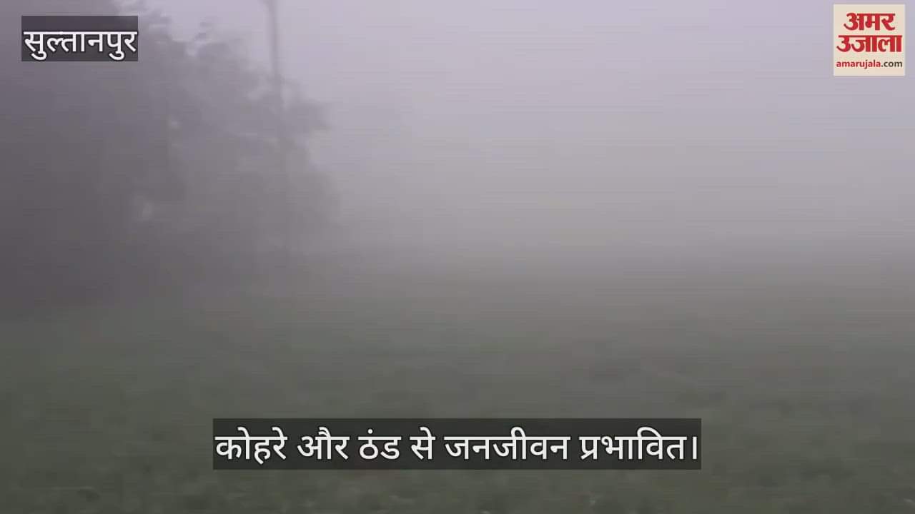 VIDEO : सुल्तानपुर में कोहरे और ठंड से जनजीवन प्रभावित