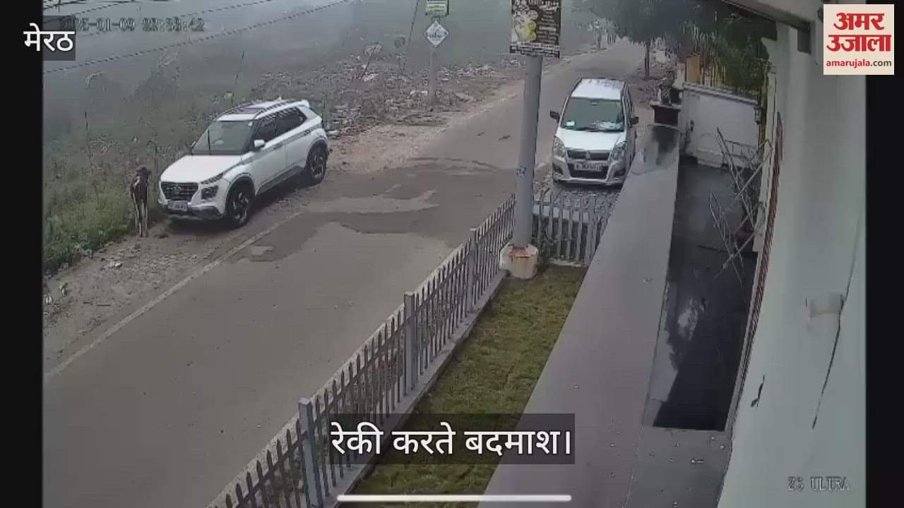 VIDEO : Robbery worth Rs 40 lakh in Meerut: Ananya bit the criminal's hand and then hit him with the butt of the pistol on his head, this type of incident...