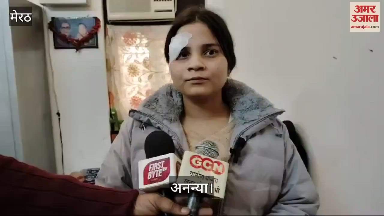 VIDEO : Robbery worth Rs 40 lakh in Meerut: Ananya bit the criminal's hand and hit him with the butt of the pistol on his head.