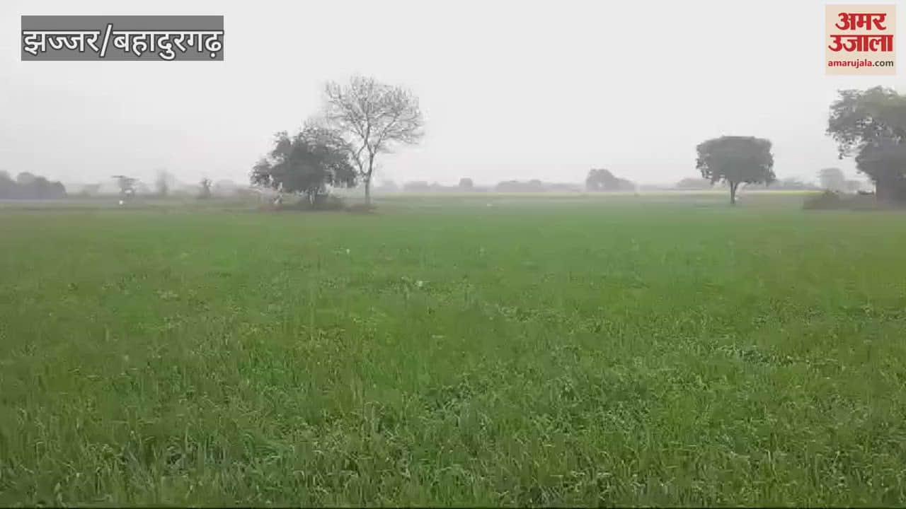 VIDEO : Jhajjar's maximum temperature decreased, minimum increased