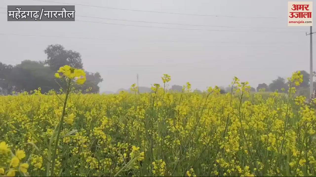 VIDEO : Weather change with cold winds in Mahendergarh