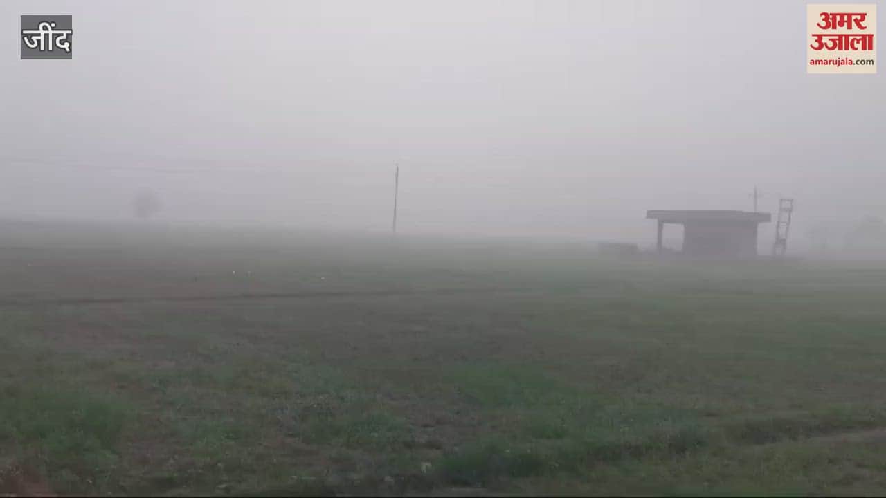 VIDEO : maximum temperature in Jind was 16 and the minimum was 7 degrees