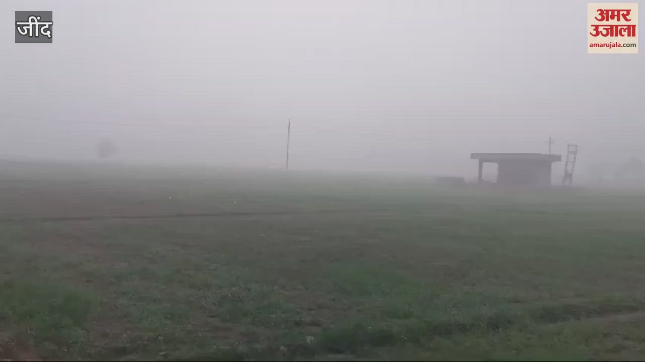 VIDEO : maximum temperature in Jind was 16 and the minimum was 7 degrees