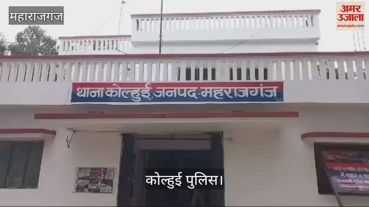 VIDEO : Police seized 12 sacks of Chinese garlic, handed it over to customs