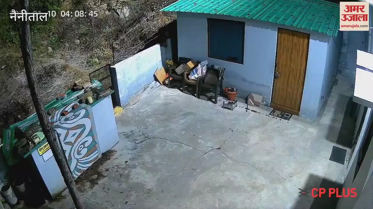 VIDEO : चौनीखेत में घर में घुसकर कुत्तों पर झपटा तेंदुआ, घटना सीसीटीवी में कैद