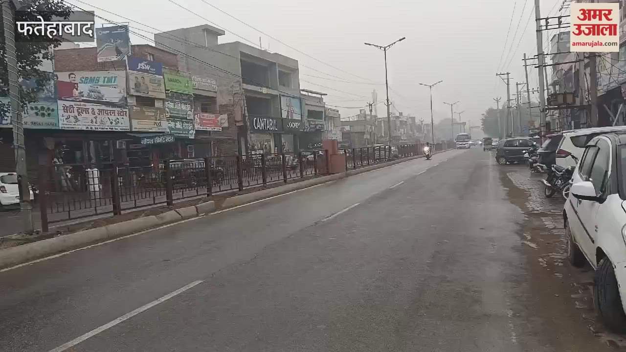 VIDEO : Light rain continues in Fatehabad since morning, crops will benefit