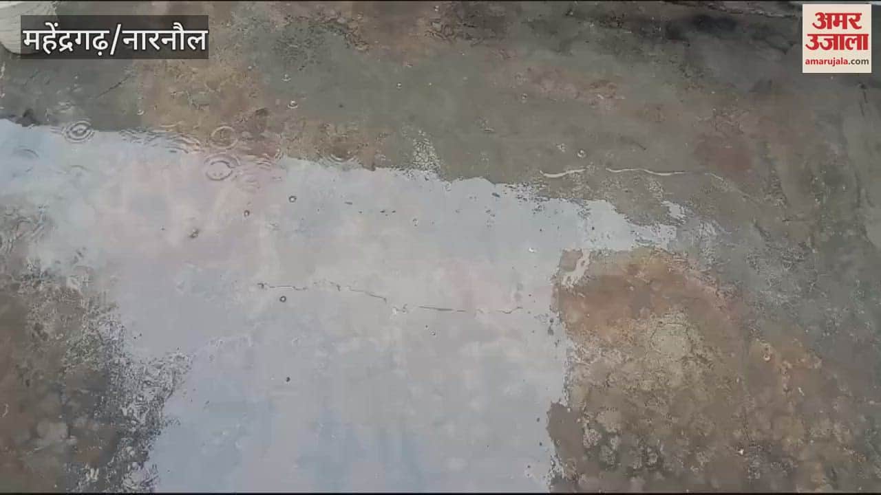 VIDEO : Drizzle started in Narnaul, beneficial for crops