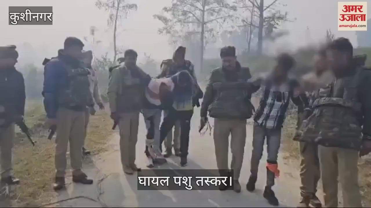 VIDEO : Cattle smuggler with reward of Rs 25 thousand arrested - injured in encounter