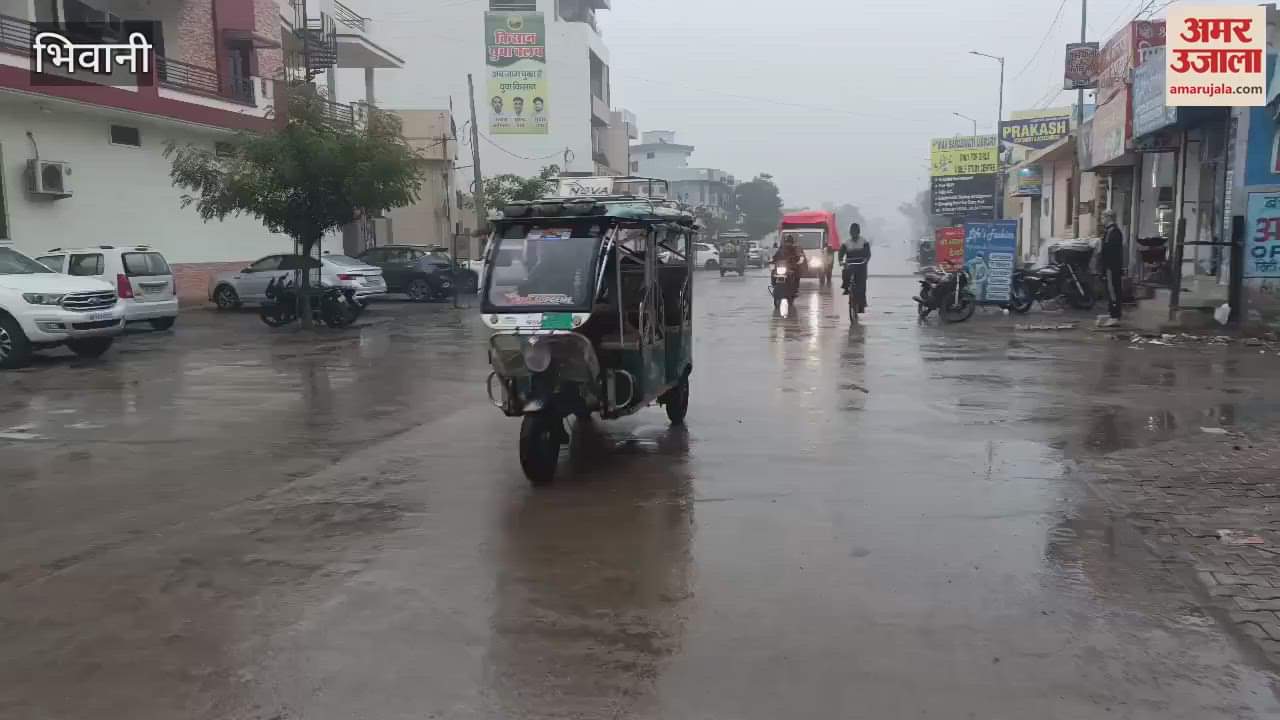 VIDEO : Rain continues in Bhiwani, cold wave increases cold