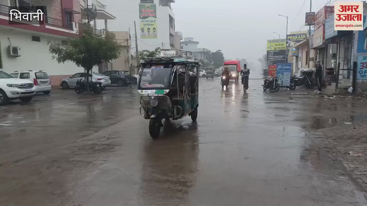 VIDEO : Rain continues in Bhiwani, cold wave increases cold