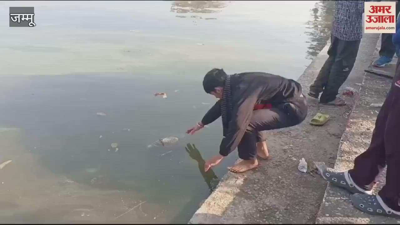 VIDEO : Fish found dead in Baba Talab Amrit Sarovar