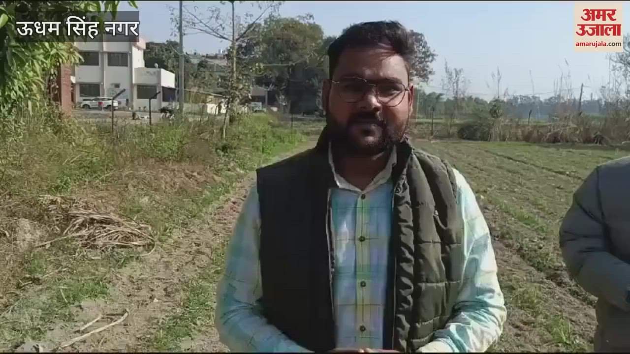 VIDEO : किसानों के लिए तैयार हो रहे उन्नत प्रजाति के बीज, सामान्य गन्ने की 12226 किस्त हो रही विकसित