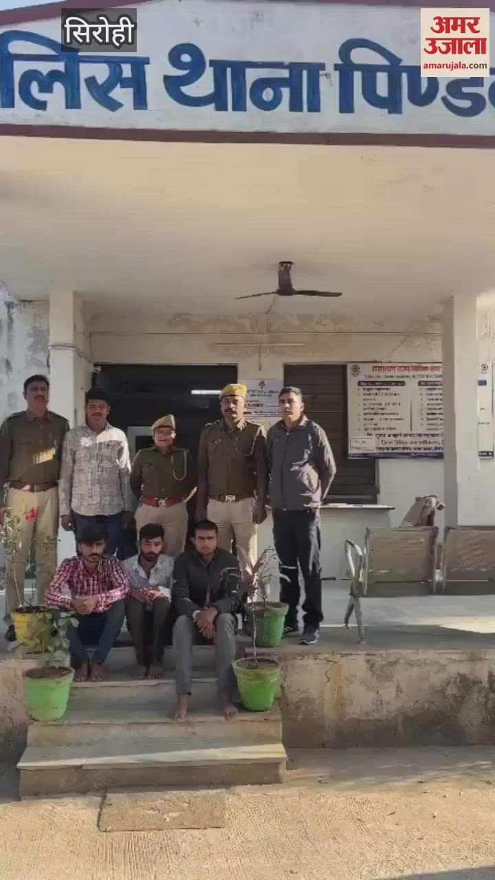 Sirohi Two major operations by Pindwara police and DST team four accused arrested including 42 kg poppy husk