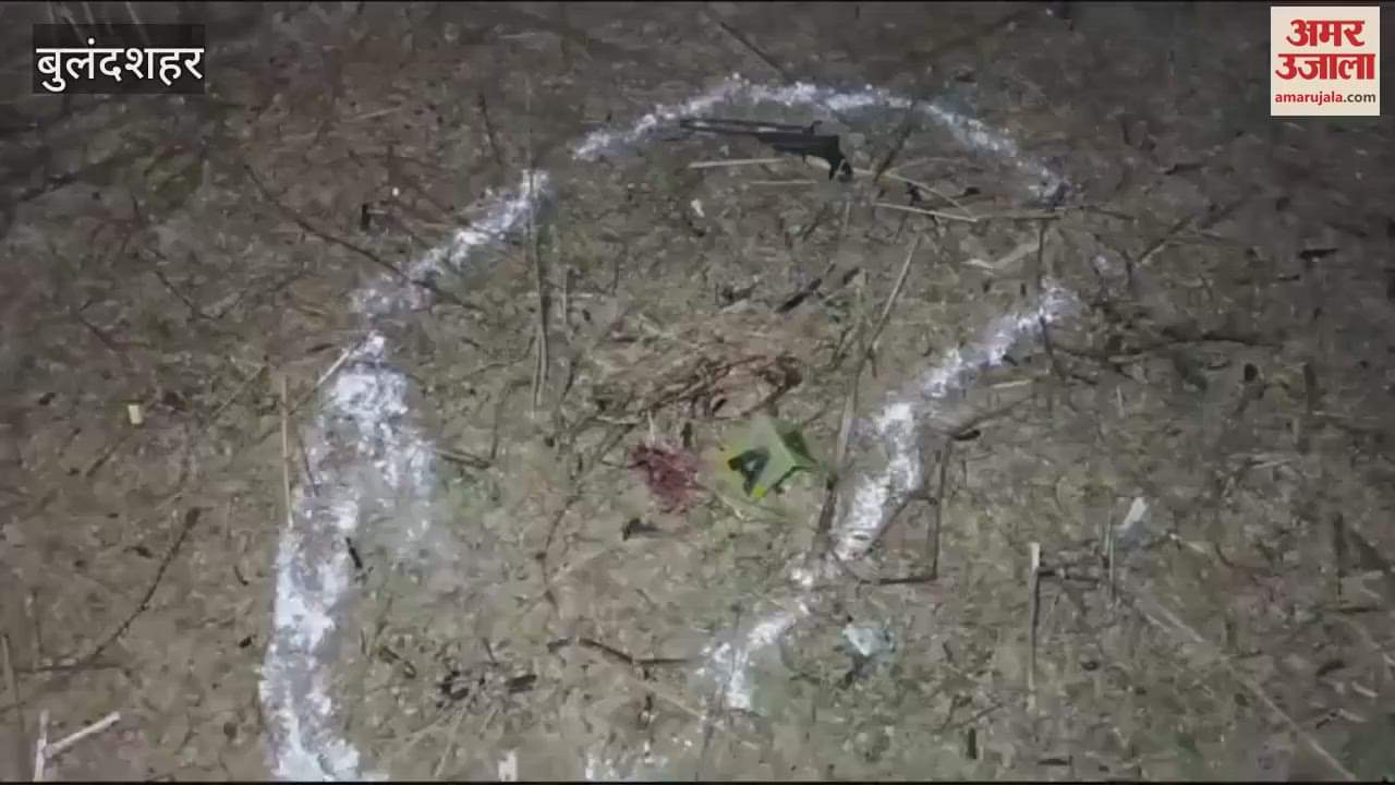 VIDEO : Three miscreants who stole buffalo arrested in police encounter in Bulandshahr