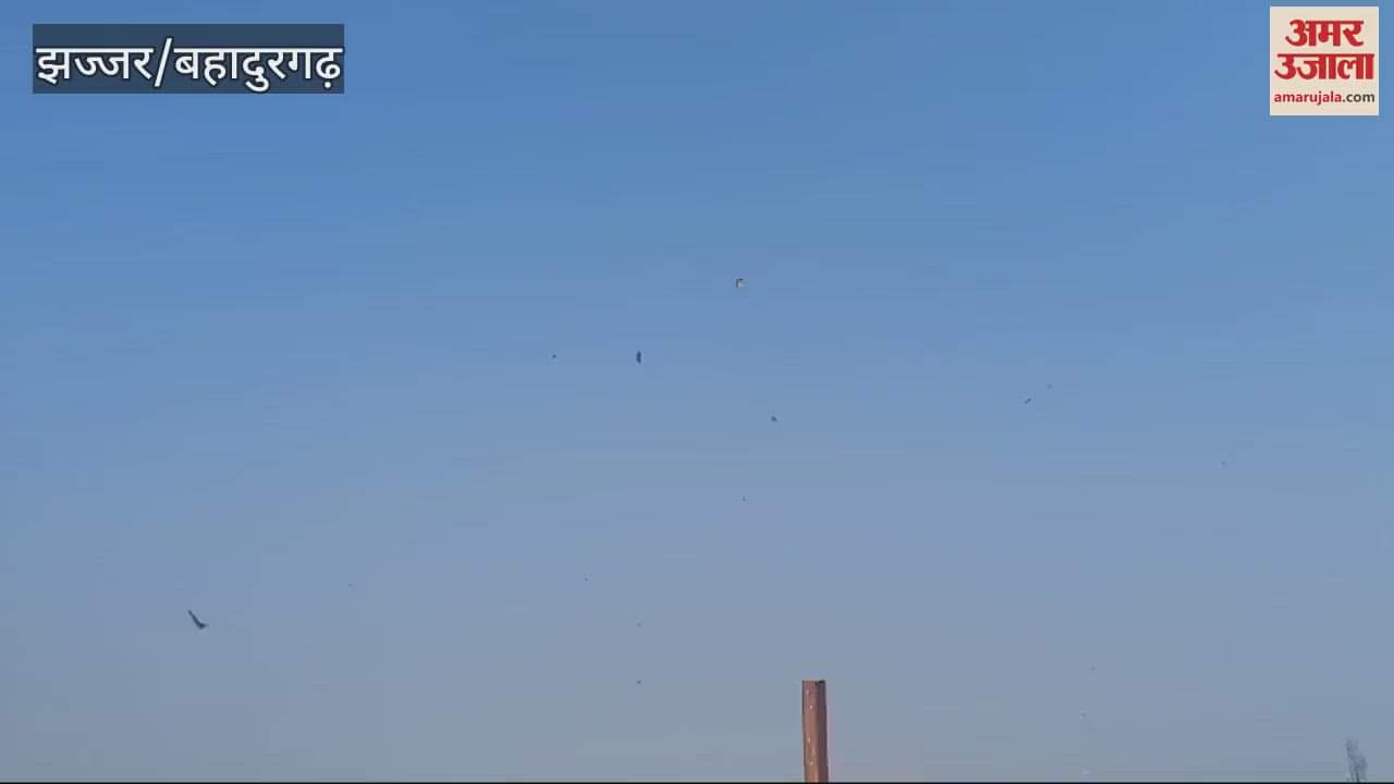 VIDEO : people flew kites to the beat of DJ In Jhajjar