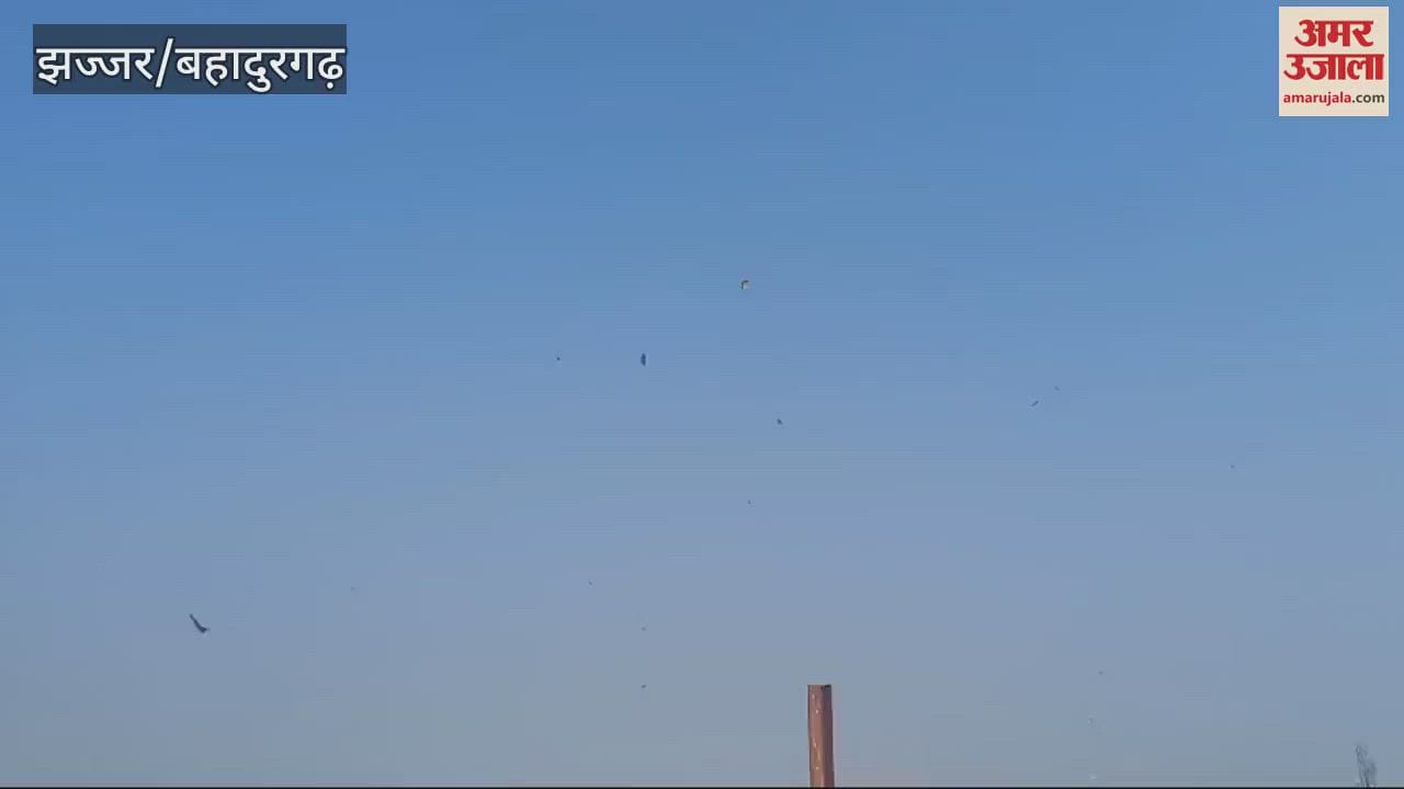 VIDEO : people flew kites to the beat of DJ In Jhajjar