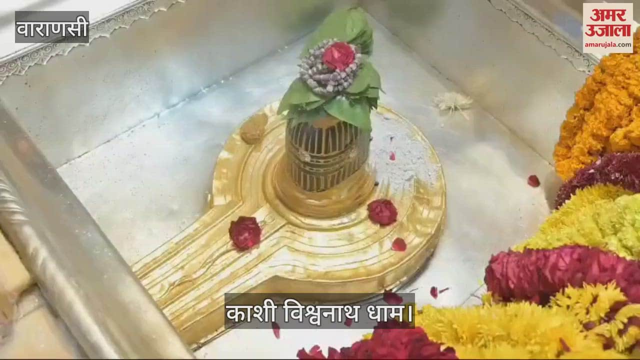 VIDEO : Makar Sankranti 2025 Kashi Vishwanath Bhog Aarti performed and Khichdi distributed as Prasad