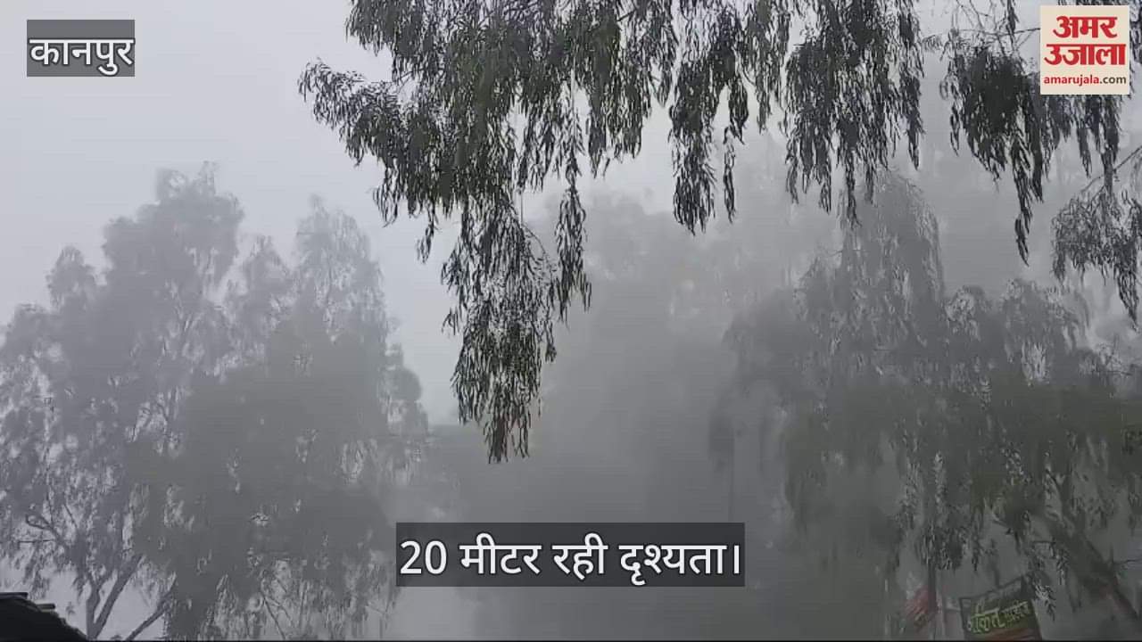 VIDEO : Fog prevailed in Kanpur even during the day