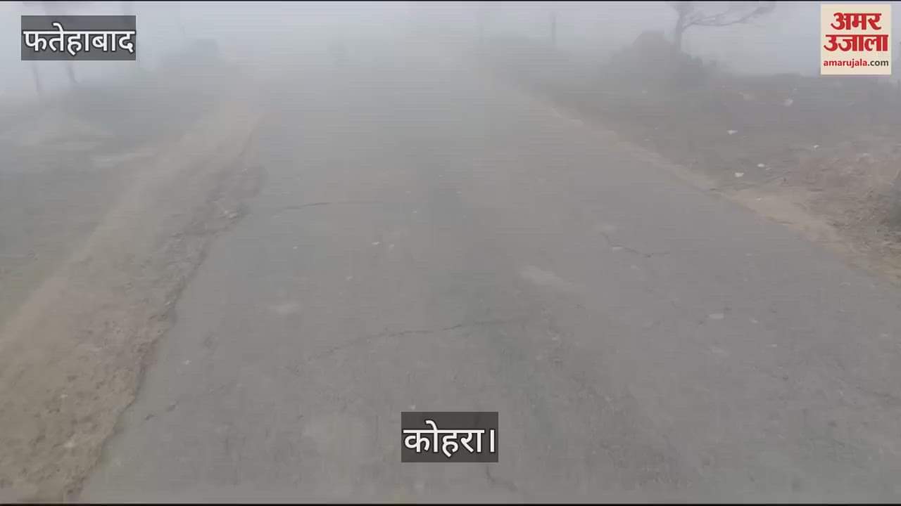 VIDEO : Fog again prevails in Fatehabad on second day