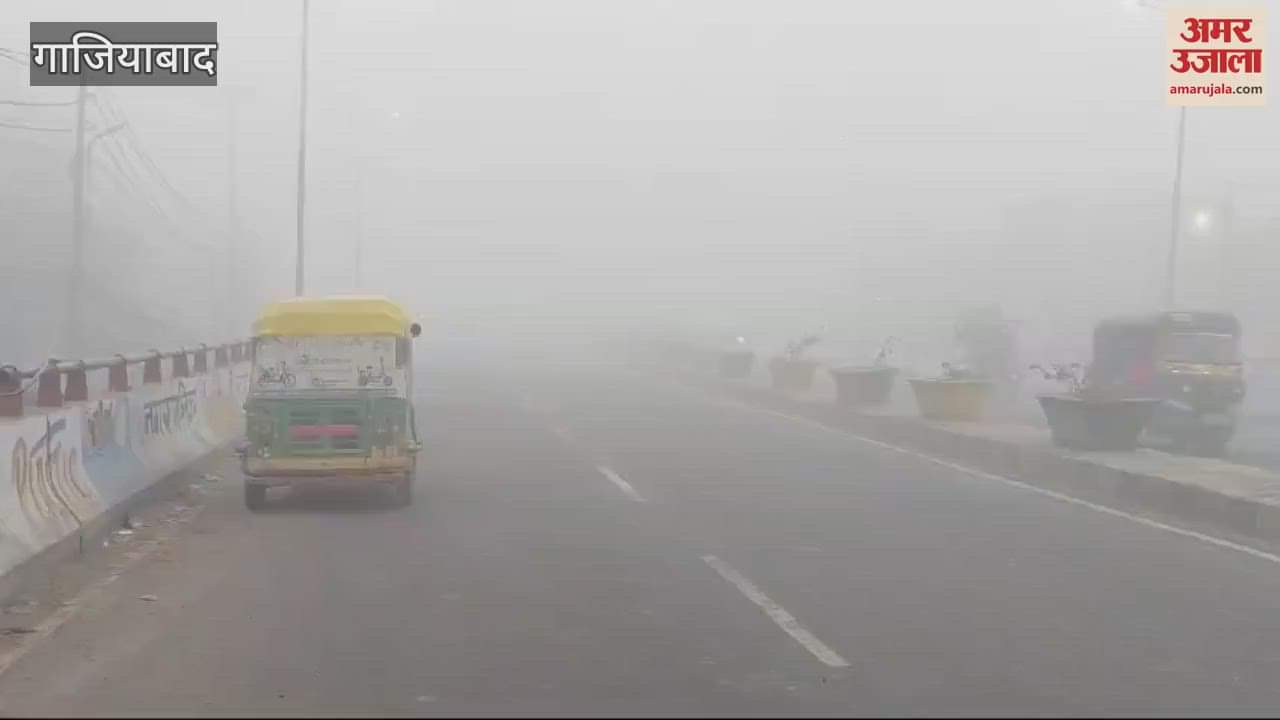 VIDEO : Fog wreaks havoc in Hapur