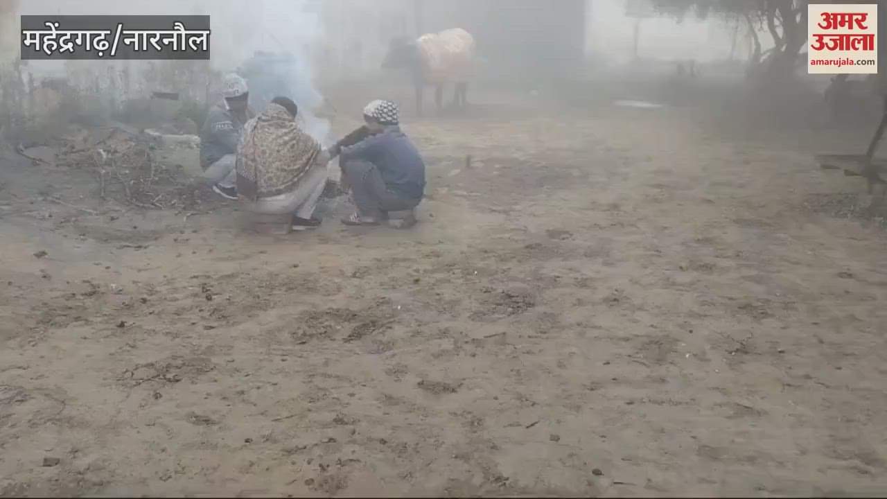 VIDEO : Dense fog increased trouble in Mahindergarh, minimum temperature dropped further