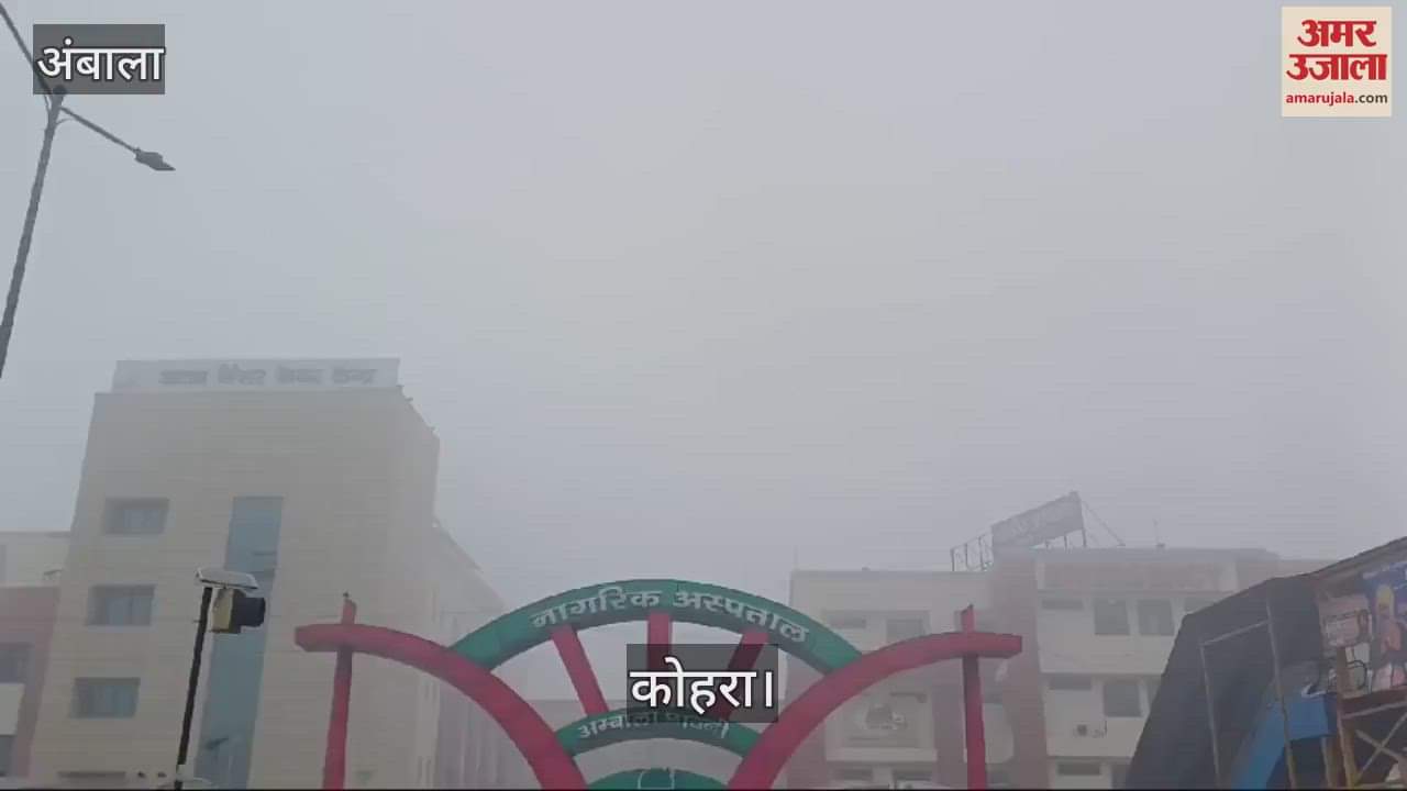VIDEO : Dense fog in Ambala slows down speed of vehicles, drizzle may occur till January 18