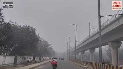 VIDEO : Heavy fog in Noida slows down the city