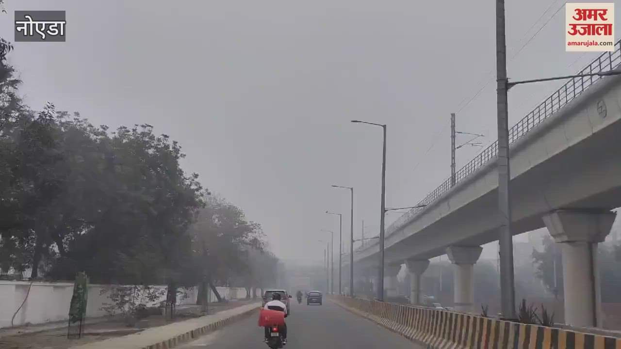VIDEO : Heavy fog in Noida slows down the city