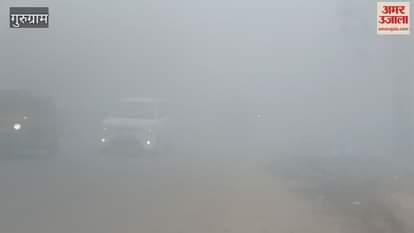 VIDEO : Vehicles passing through fog in Gurugram