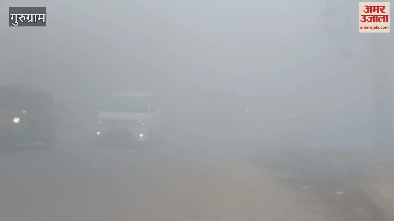 VIDEO : Vehicles passing through fog in Gurugram